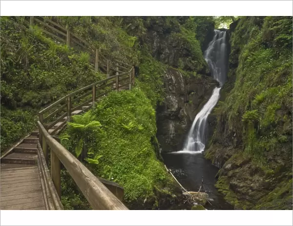 Visitor walkway and steps, Ess-na-Larach waterfall, Glenariff Country Park near Waterfoot