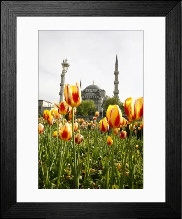 Framed Print : The Blue Mosque (Sultan Ahmet Camii), Istanbul, Turkey, Europe Framed Print : The Blue Mosque (Sultan Ahmet Camii), Istanbul, Turkey, Europe