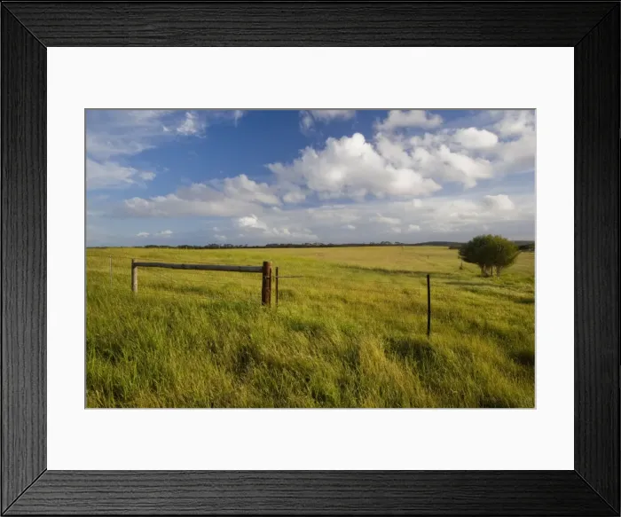 Framed Print : Murray Lagoon, Kangaroo Island, South Australia, Australia, Pacific Framed Print : Murray Lagoon, Kangaroo Island, South Australia, Australia, Pacific