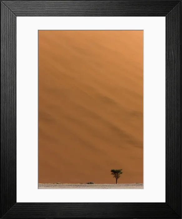 Framed Print : Sand dunes, Sossusvlei, Namib Desert, Namib Naukluft Park, Namibia, Africa Framed Print : Sand dunes, Sossusvlei, Namib Desert, Namib Naukluft Park, Namibia, Africa