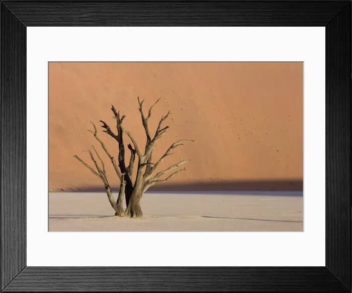 Framed Print : Dead Vlei, Sossusvlei, Namib Desert, Namibia, Africa Framed Print : Dead Vlei, Sossusvlei, Namib Desert, Namibia, Africa