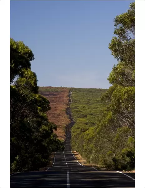 Main road through the forest, Flinders Chase National Park, Kangaroo Island