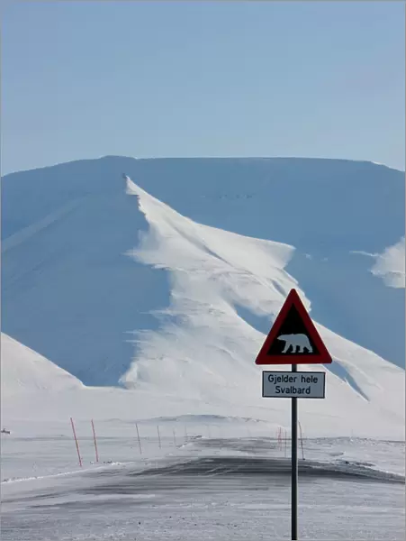 Polar bear sign, Longyearbyen, Svalbard, Spitzbergen, Arctic, Norway, Scandinavia, Europe