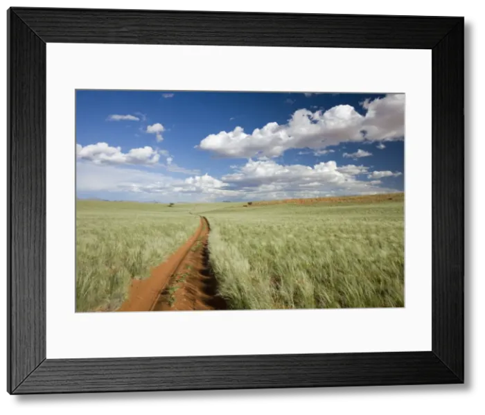 Framed Print : Namib Rand Nature Reserve, Namibia, Africa Framed Print : Namib Rand Nature Reserve, Namibia, Africa