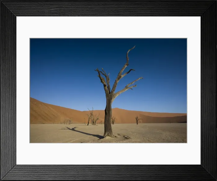 Framed Print : Dead Vlei, Sossusvlei, Namib Desert, Namibia, Africa Framed Print : Dead Vlei, Sossusvlei, Namib Desert, Namibia, Africa