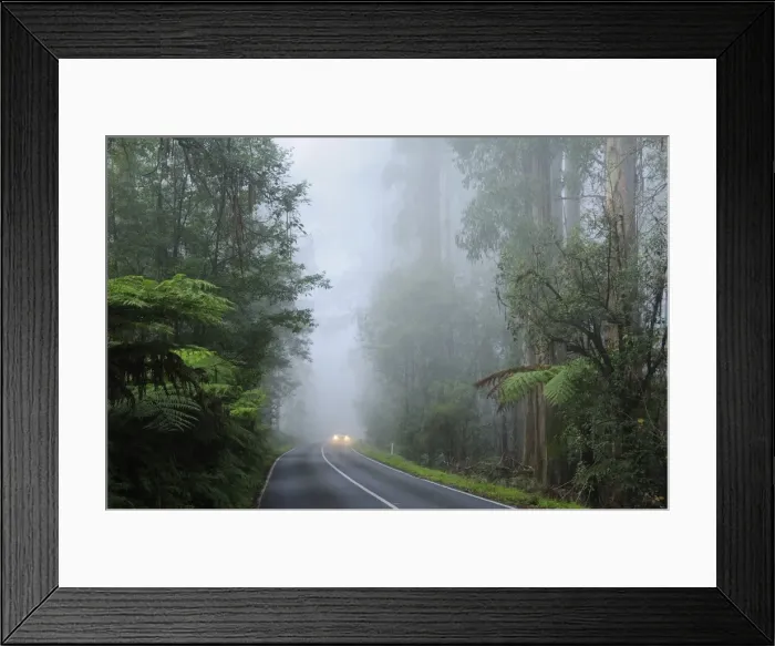 Framed Print : Road and fog, Dandenong Ranges, Victoria, Australia, Pacific Framed Print : Road and fog, Dandenong Ranges, Victoria, Australia, Pacific