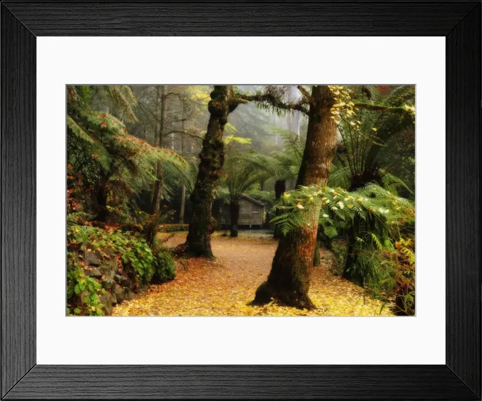 Framed Print : The boathouse and gingko trees dropping autumn leaves, Alfred Nicholas Gardens Framed Print : The boathouse and gingko trees dropping autumn leaves, Alfred Nicholas Gardens