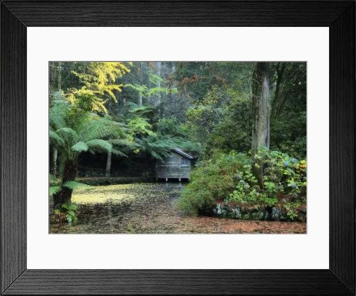 Framed Print : The boathouse, Alfred Nicholas Gardens, Dandenong Ranges, Victoria, Australia, Pacific Framed Print : The boathouse, Alfred Nicholas Gardens, Dandenong Ranges, Victoria, Australia, Pacific