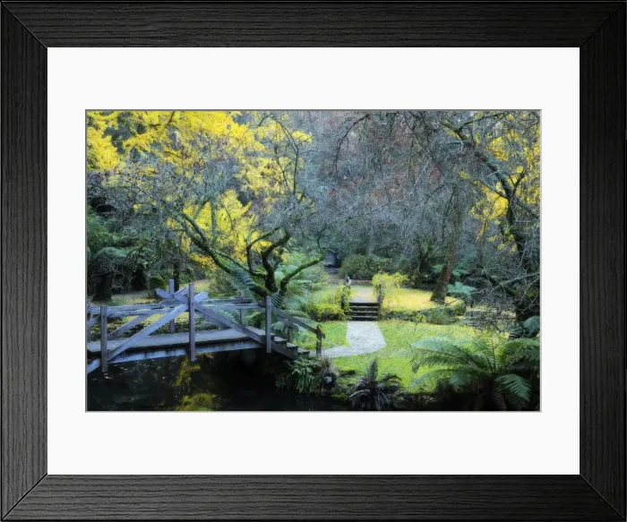 Framed Print : Footbridge, Alfred Nicholas Gardens, Dandenong Ranges, Victoria, Australia, Pacific Framed Print : Footbridge, Alfred Nicholas Gardens, Dandenong Ranges, Victoria, Australia, Pacific
