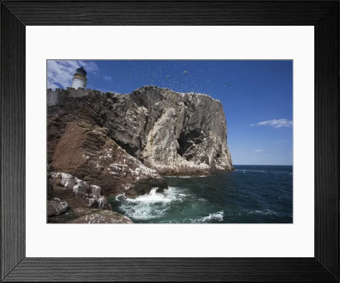 Framed Print : Bass Rock, Firth of Forth, Scotland, United Kingdom, Europe