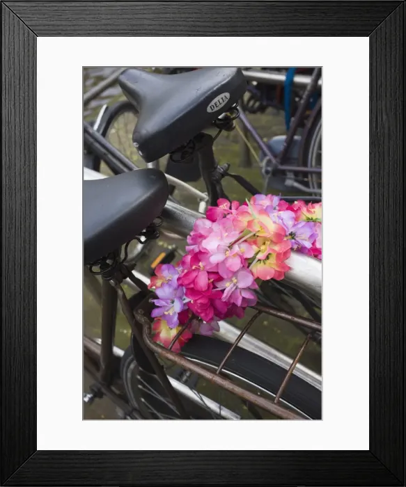 Framed Print : Old bicycles and flower chain, Amsterdam, Netherlands, Europe Framed Print : Old bicycles and flower chain, Amsterdam, Netherlands, Europe