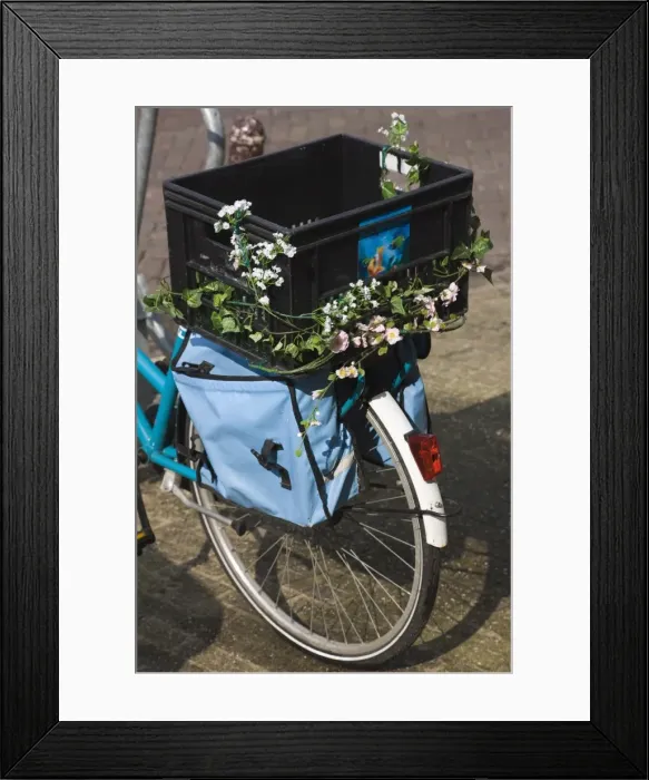 Framed Print : Bicycle decorated with flowers, Amsterdam, Netherlands, Europe Framed Print : Bicycle decorated with flowers, Amsterdam, Netherlands, Europe