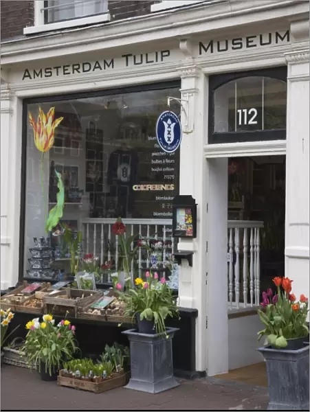 Amsterdam Tulip Museum, Jordaan, Amsterdam, Netherlands, Europe