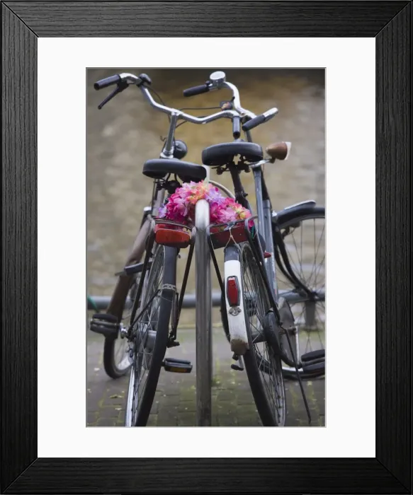 Framed Print : Two bicycles with a flower chain, Amsterdam, Netherlands, Europe Framed Print : Two bicycles with a flower chain, Amsterdam, Netherlands, Europe