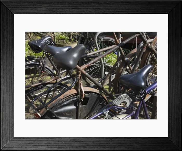 Framed Print : Rusty bicycles, Amsterdam, Netherlands, Europe Framed Print : Rusty bicycles, Amsterdam, Netherlands, Europe
