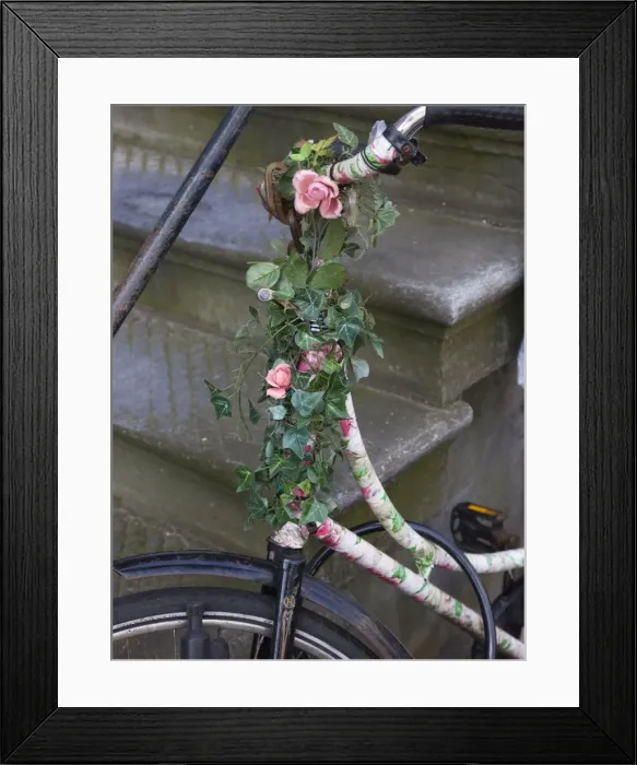 Framed Print : Old bicycle with flowers resting against stone steps, Amsterdam, Netherlands, Europe Framed Print : Old bicycle with flowers resting against stone steps, Amsterdam, Netherlands, Europe