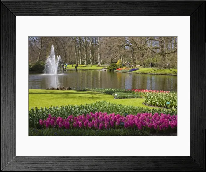 Framed Print : Keukenhof, park and gardens near Amsterdam, Netherlands, Europe Framed Print : Keukenhof, park and gardens near Amsterdam, Netherlands, Europe