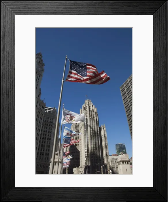 Framed Print : Flags, Chicago, Illinois, United States of America, North America Framed Print : Flags, Chicago, Illinois, United States of America, North America