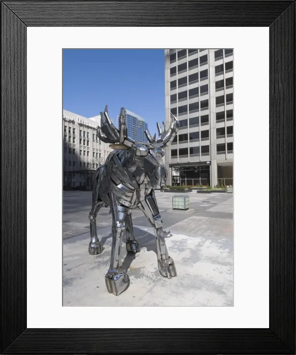 Framed Print : Statue of Moose near the Tribune Building, Chicago, Illinois, United States of America Framed Print : Statue of Moose near the Tribune Building, Chicago, Illinois, United States of America