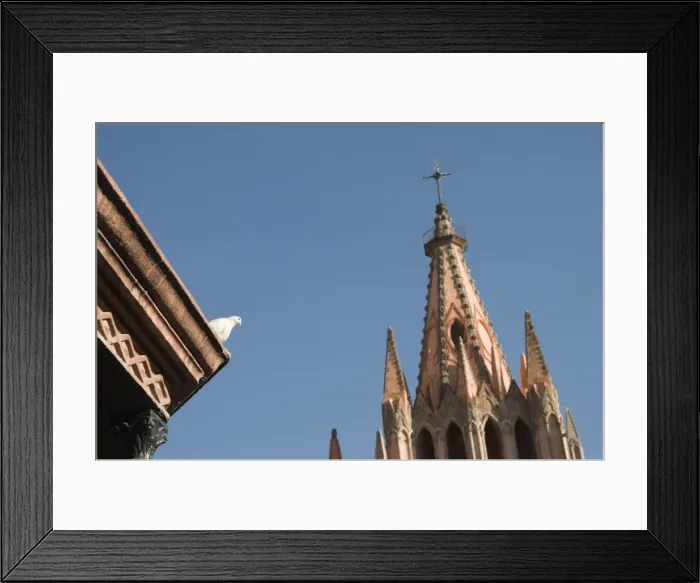Framed Print : White dove on roof of bandstand in the Jardin Principal with La Parroquia in background Framed Print : White dove on roof of bandstand in the Jardin Principal with La Parroquia in background