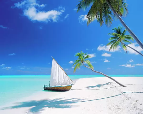 Dhoni (traditional boat) moored by empty beach, Maldives, Indian Ocean, Asia