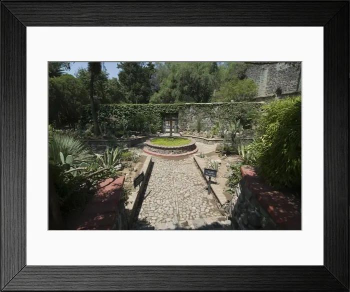 Framed Print : Gardens in Guanajuato, Guanajuato State, Mexico, North America Framed Print : Gardens in Guanajuato, Guanajuato State, Mexico, North America