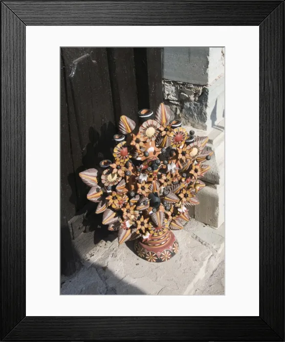 Framed Print : Tree of life in Guanajuato, Guanajuato State, Mexico, North America Framed Print : Tree of life in Guanajuato, Guanajuato State, Mexico, North America