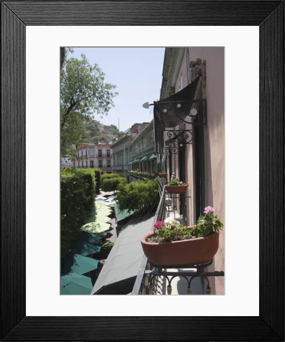 Framed Print : In the main square or Jardin de la Union in Guanajuato, a UNESCO World Heritage Site Framed Print : In the main square or Jardin de la Union in Guanajuato, a UNESCO World Heritage Site
