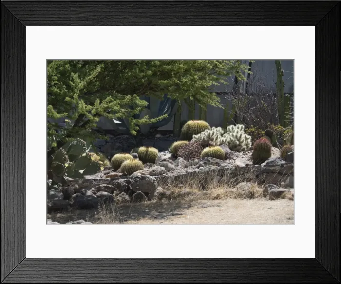 Framed Print : Botanical Gardens, San Miguel de Allende (San Miguel), Guanajuato State Framed Print : Botanical Gardens, San Miguel de Allende (San Miguel), Guanajuato State