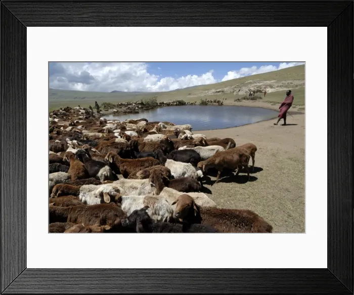 Framed Print : Ngorongoro Conservation Area, UNESCO World Heritage Site, Tanzania, East Africa, Africa Framed Print : Ngorongoro Conservation Area, UNESCO World Heritage Site, Tanzania, East Africa, Africa