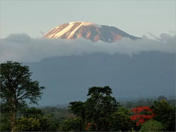 Mount Kilimanjaro, UNESCO World Heritage Site, Tanzania, East Africa, Africa