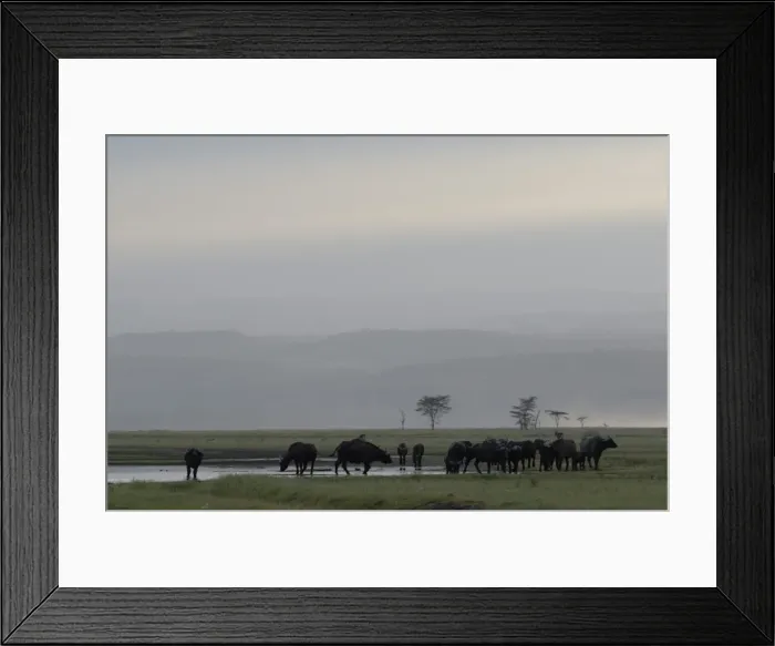 Framed Print : Lake Nakuru National Park, Kenya, East Africa, Africa Framed Print : Lake Nakuru National Park, Kenya, East Africa, Africa