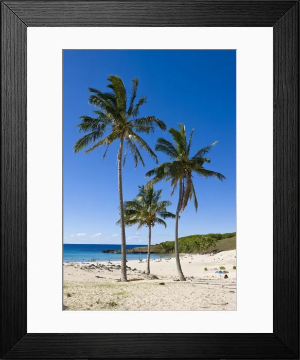 Framed Print : Anakena beach, the Islands white sand beach fringed by palm trees Framed Print : Anakena beach, the Islands white sand beach fringed by palm trees
