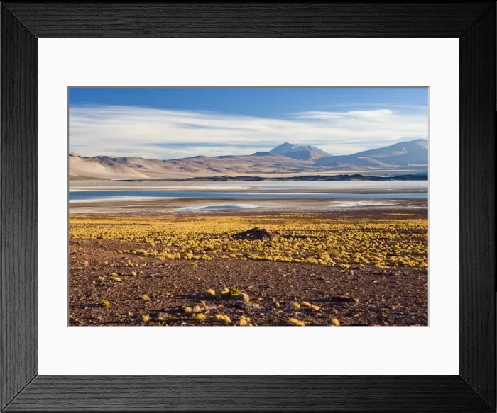 Framed Print : The altiplano at an altitude of over 4000m looking over the salt lake Laguna de Tuyajto Framed Print : The altiplano at an altitude of over 4000m looking over the salt lake Laguna de Tuyajto