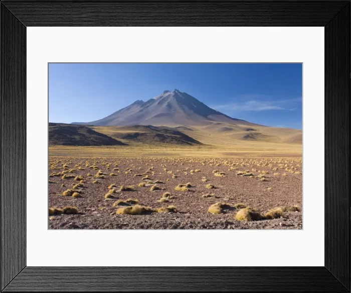 Framed Print : The altiplano at an altitude of over 4000m and the peak of Cerro Miniques at 5910m Framed Print : The altiplano at an altitude of over 4000m and the peak of Cerro Miniques at 5910m