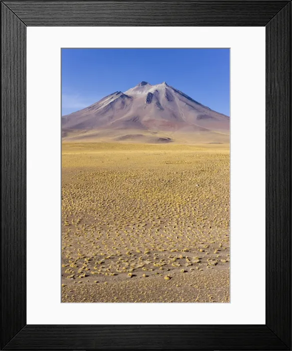 Framed Print : The altiplano at an altitude of over 4000m and the peak of Cerro Miniques at 5910m Framed Print : The altiplano at an altitude of over 4000m and the peak of Cerro Miniques at 5910m