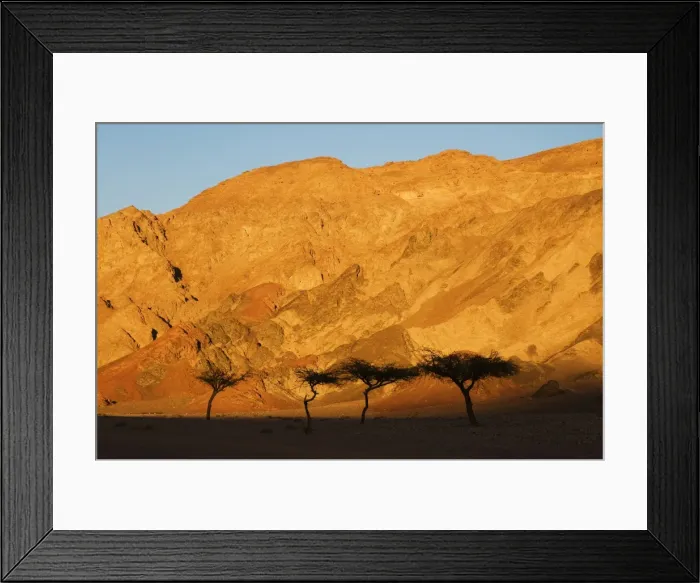 Framed Print : Desertscape, near Nuweiba, Sinai, Egypt, North Africa, Africa Framed Print : Desertscape, near Nuweiba, Sinai, Egypt, North Africa, Africa