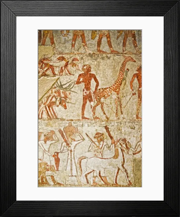 Framed Print : Giraffe among the tribute from Nubia, Tomb of Rekhmire, West Bank, Thebes Framed Print : Giraffe among the tribute from Nubia, Tomb of Rekhmire, West Bank, Thebes