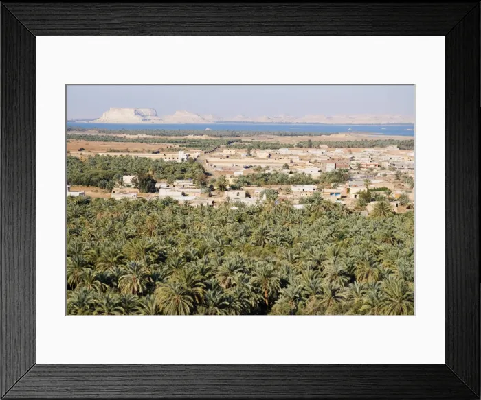 Framed Print : Birket Siwa (Siwa Lake), Siwa Oasis, Western Desert, Egypt, North Africa, Africa Framed Print : Birket Siwa (Siwa Lake), Siwa Oasis, Western Desert, Egypt, North Africa, Africa