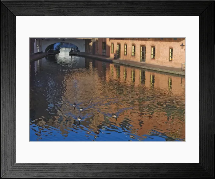 Framed Print : Ducks on canal, Gas Basin, Birmingham, England, United Kingdom, Europe Framed Print : Ducks on canal, Gas Basin, Birmingham, England, United Kingdom, Europe