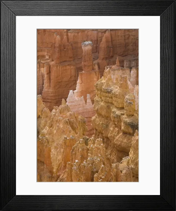 Framed Print : Thors Hammer, Bryce Canyon National Park, Utah, United States of America Framed Print : Thors Hammer, Bryce Canyon National Park, Utah, United States of America