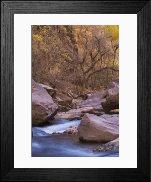 Framed Print : Virgin River, Riverside Walk, Zion National Park, Utah, United States of America Framed Print : Virgin River, Riverside Walk, Zion National Park, Utah, United States of America