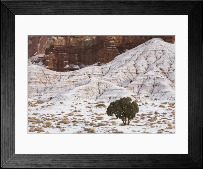 Framed Print : Capitol Reef, Utah, United States of America, North America Framed Print : Capitol Reef, Utah, United States of America, North America