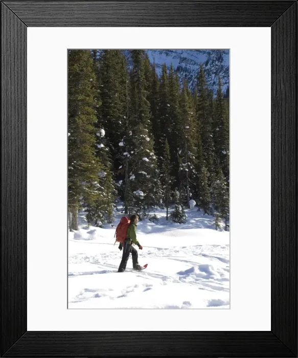 Framed Print : Snowshoeing near Lake Louise, Alberta, Canada, North America Framed Print : Snowshoeing near Lake Louise, Alberta, Canada, North America