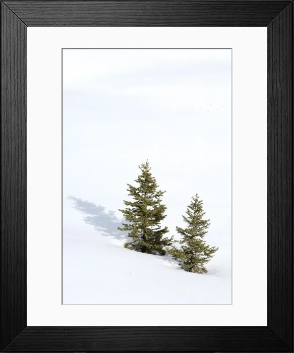 Framed Print : Christmas outdoor scene of snow and pine trees Framed Print : Christmas outdoor scene of snow and pine trees