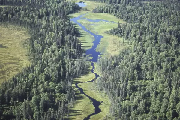 Aerial of river, Denali National Park, Alaska, United States of America, North America