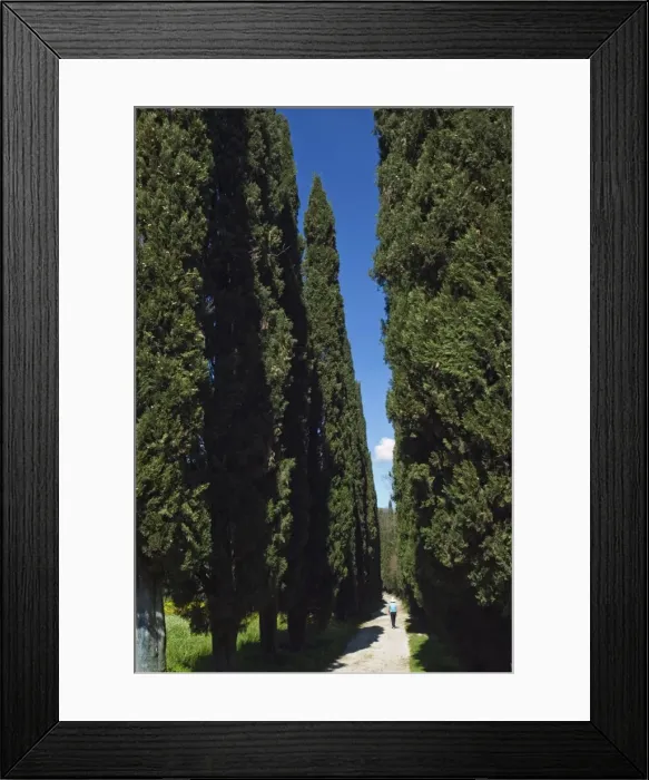 Framed Print : Road to Castello di Romena, Casentino, Arezzo, Tuscany, Italy, Europe Framed Print : Road to Castello di Romena, Casentino, Arezzo, Tuscany, Italy, Europe
