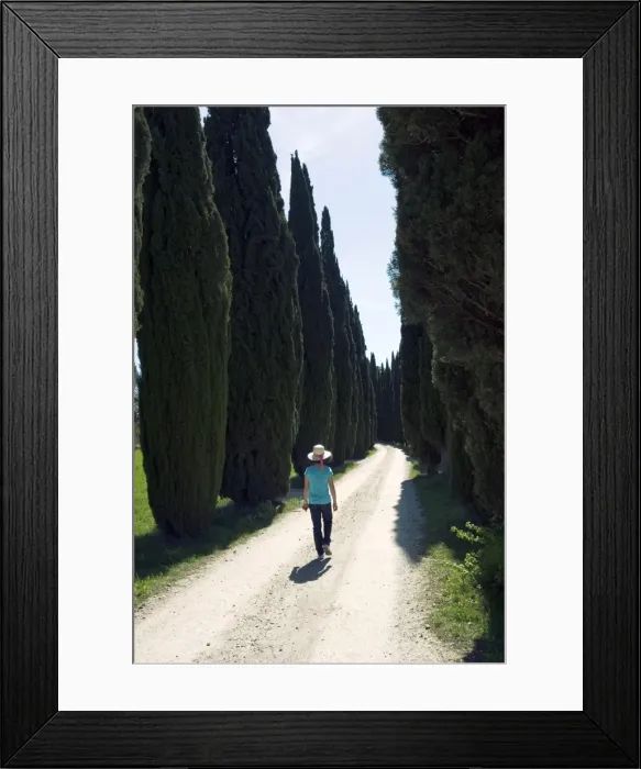 Framed Print : Road to Castello di Romena, Casentino, Arezzo, Tuscany, Italy, Europe Framed Print : Road to Castello di Romena, Casentino, Arezzo, Tuscany, Italy, Europe
