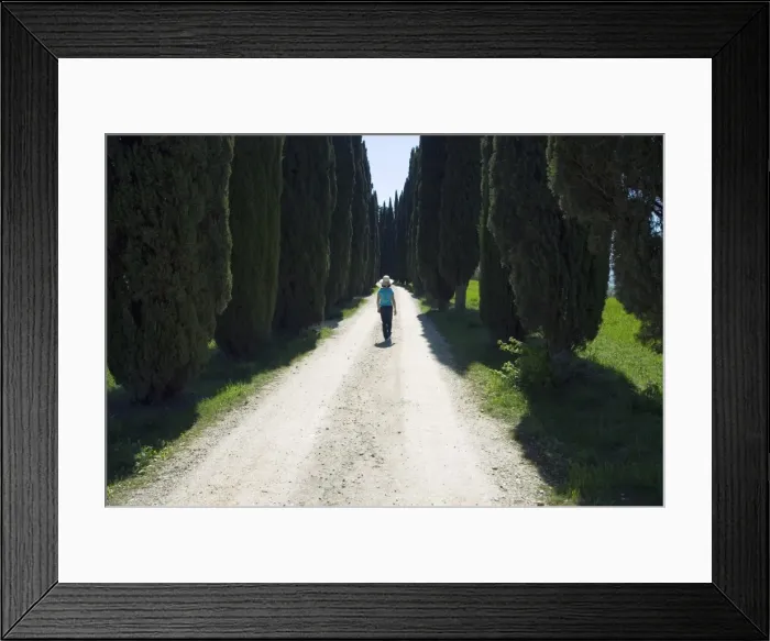 Framed Print : Road to Castello di Romena, Casentino, Arezzo, Tuscany, Italy, Europe Framed Print : Road to Castello di Romena, Casentino, Arezzo, Tuscany, Italy, Europe