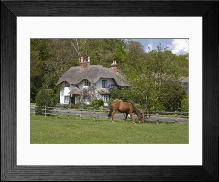 Framed Print : Thatched cottage and pony, New Forest, Hampshire, England, United Kingdom, Europe Framed Print : Thatched cottage and pony, New Forest, Hampshire, England, United Kingdom, Europe